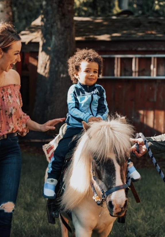 Pony Rent Rent A Pony - Vancouver Pony Party Rentals & Rides - Gallery